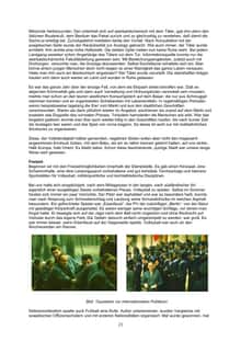 Seite 22: 1159-Ausbildung in Baku